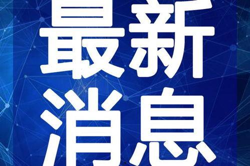 武汉中学生爆料视频最新,揭秘校园真实状况!”